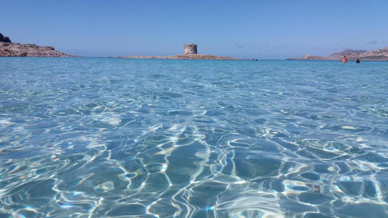 B&B Giomar Sardegna Nord Ovest Campanedda Экстерьер фото