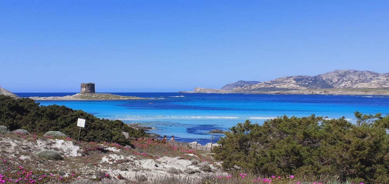 B&B Giomar Sardegna Nord Ovest Campanedda Экстерьер фото
