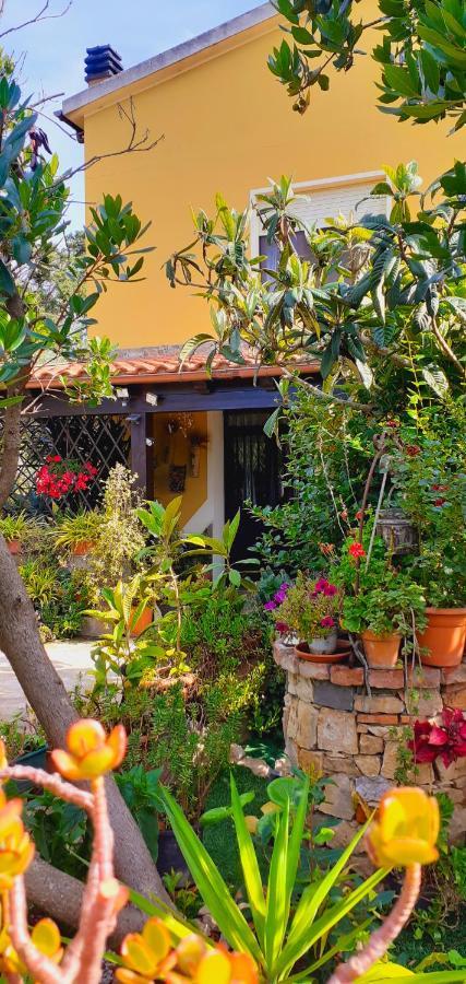 B&B Giomar Sardegna Nord Ovest Campanedda Экстерьер фото